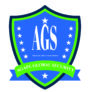 AGAPE GLOBAL SECURITY